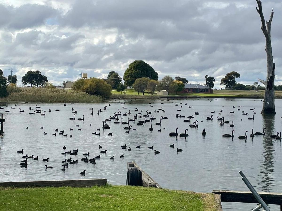 Tasman Holiday Parks - Lake Mulwala Exterior photo